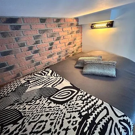 Charming Duplex - Centre